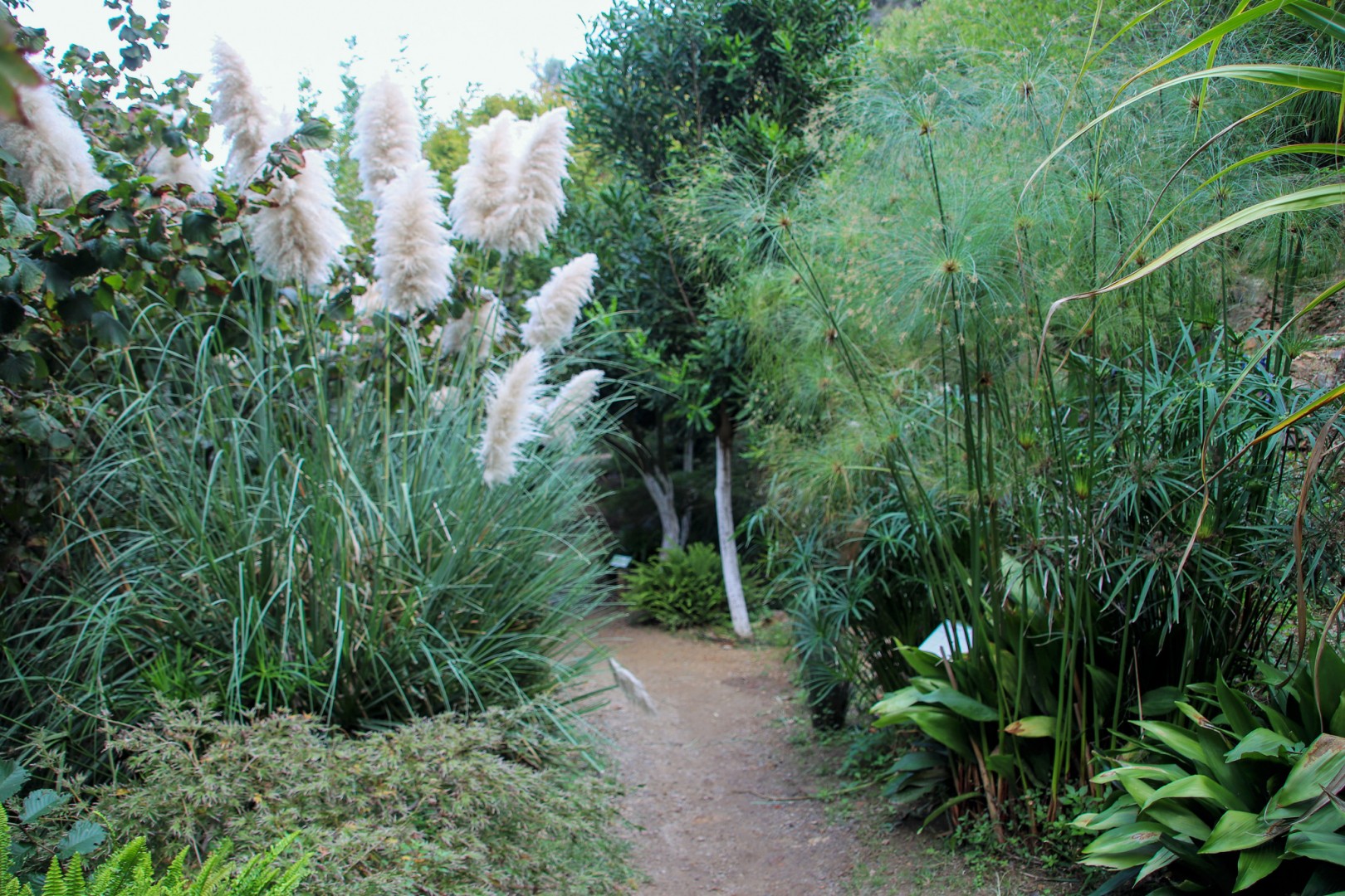 Botanical Park & Garden