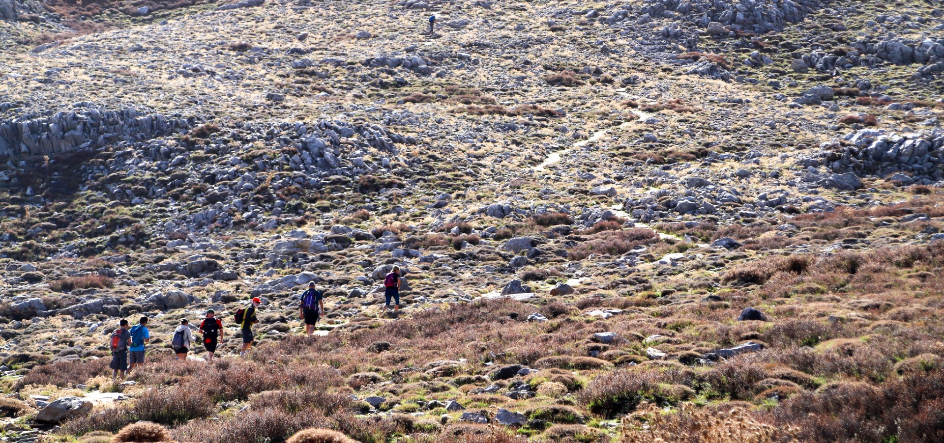 Leden upp till korsordets svar