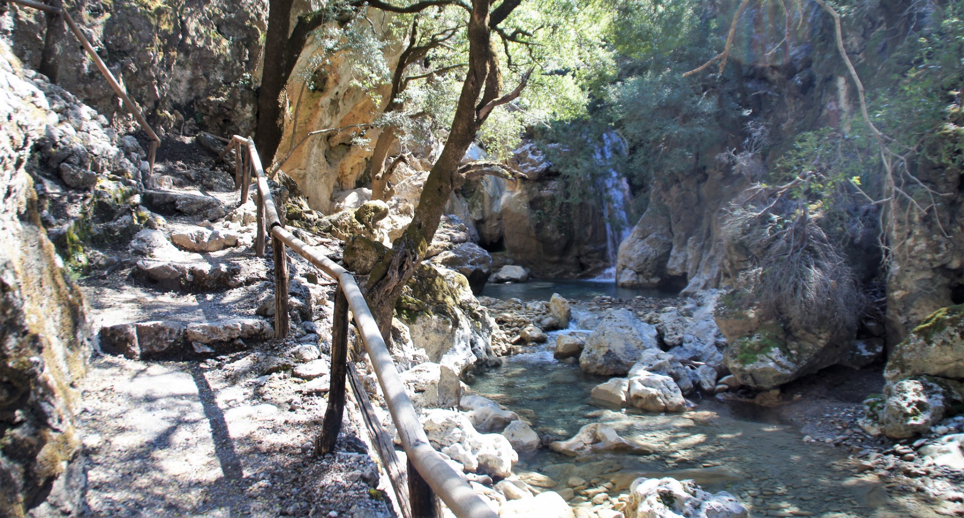 Vattenfall i en unik skog med järnekar