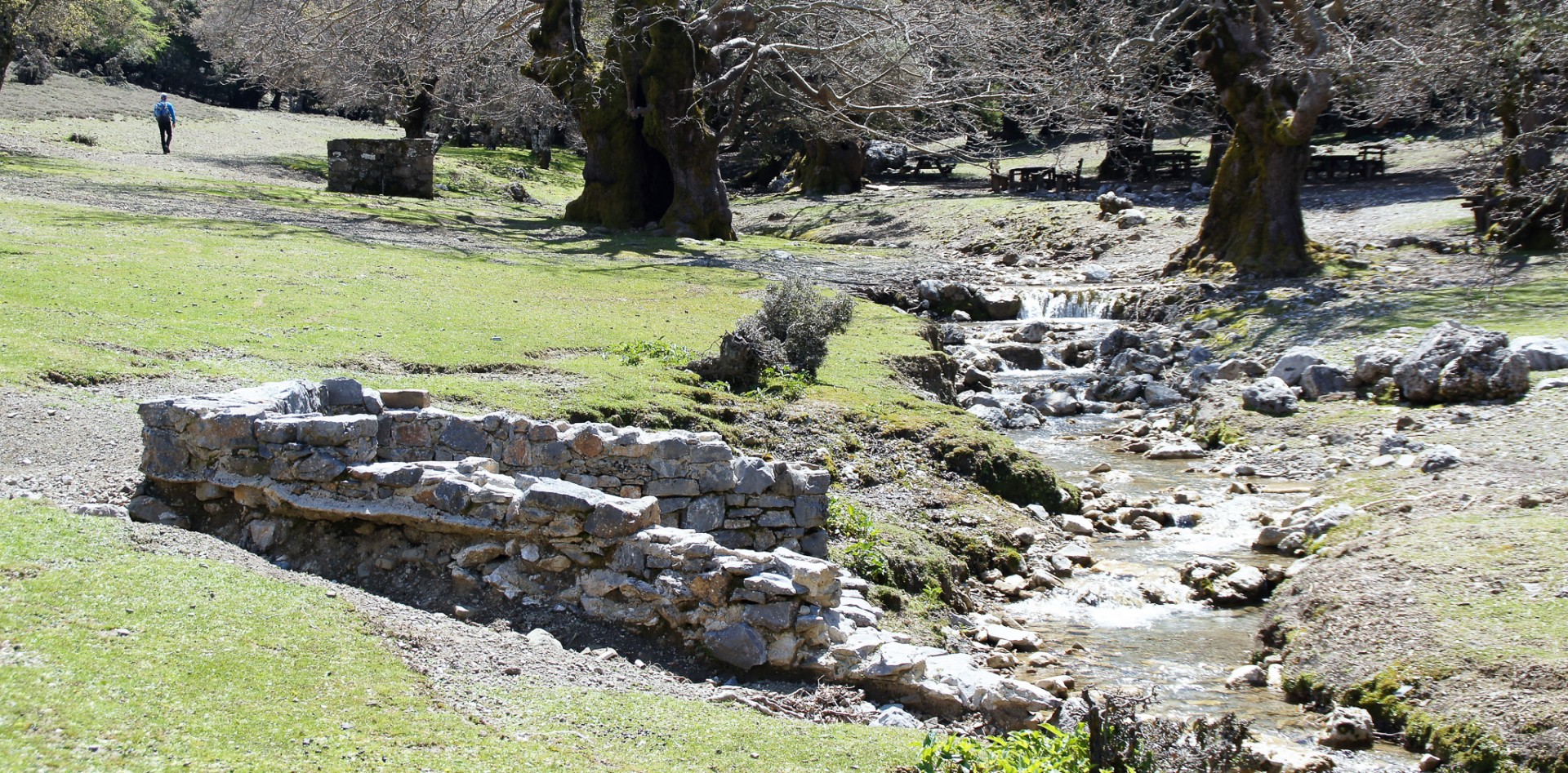 Rastplatsen uppe i Rouvas Forest