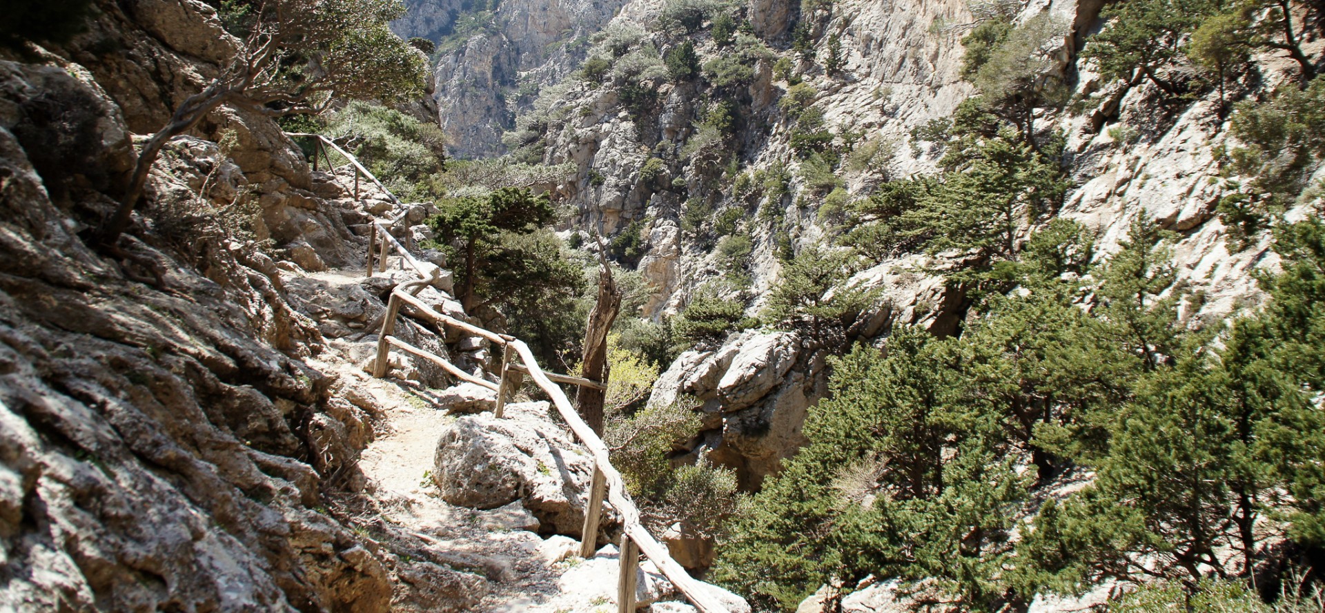 Fin sträcka högt i ravinen