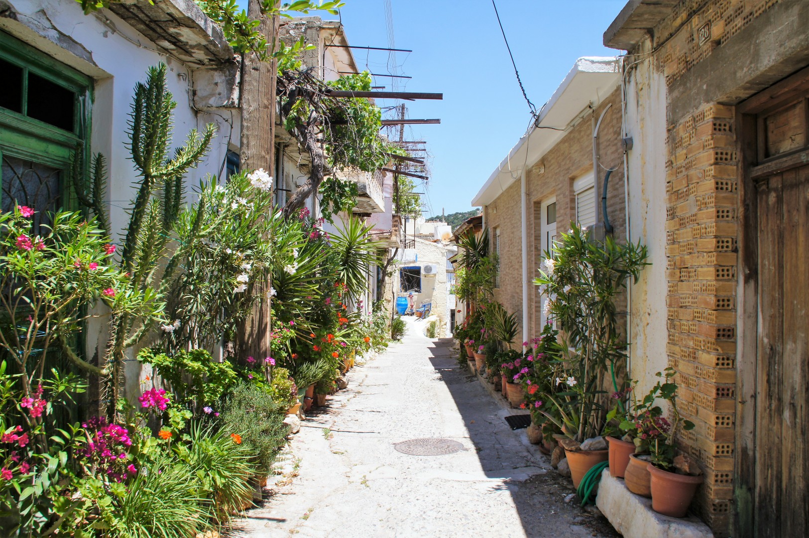 Kritsotopoulas gränd