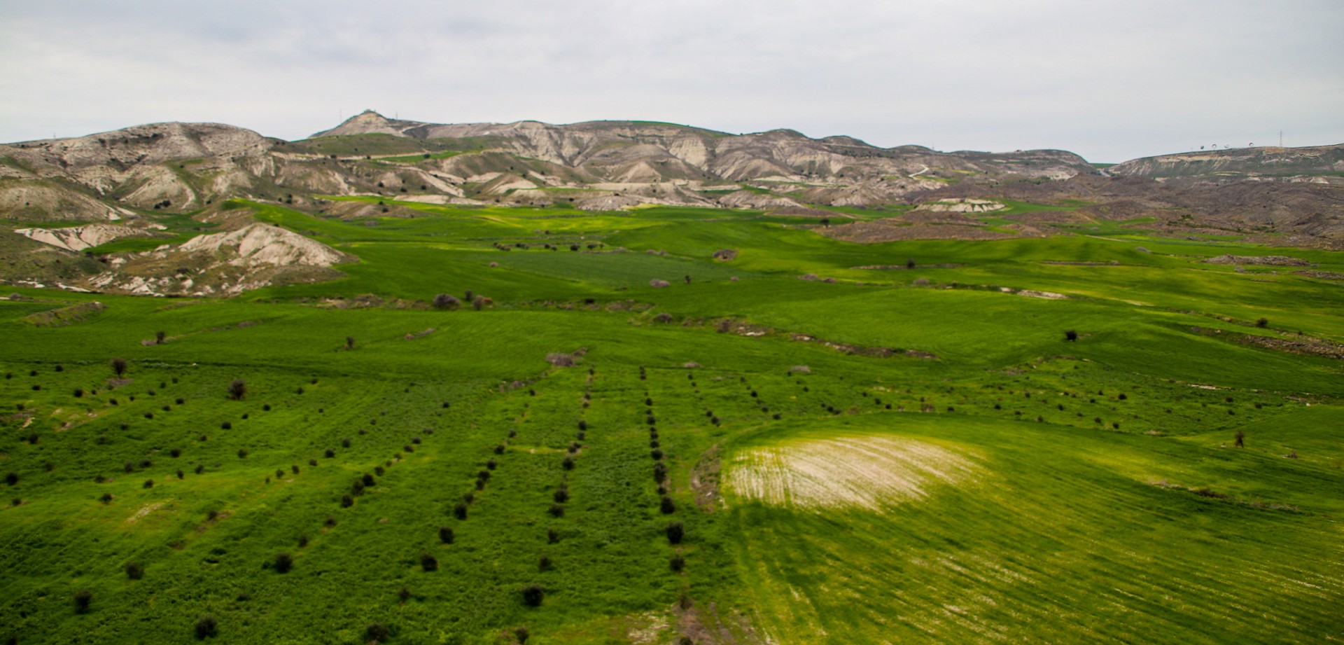 Fina vyer mellan Kochi och Avdellero