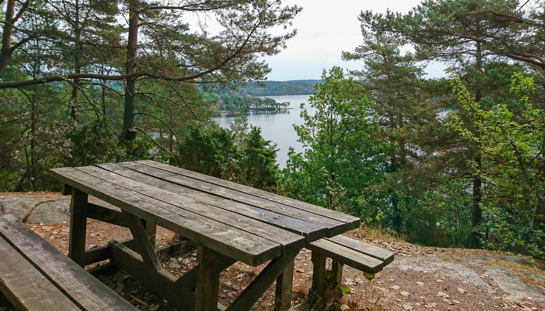 Rastplats med utsikt vid Stora Delsjön