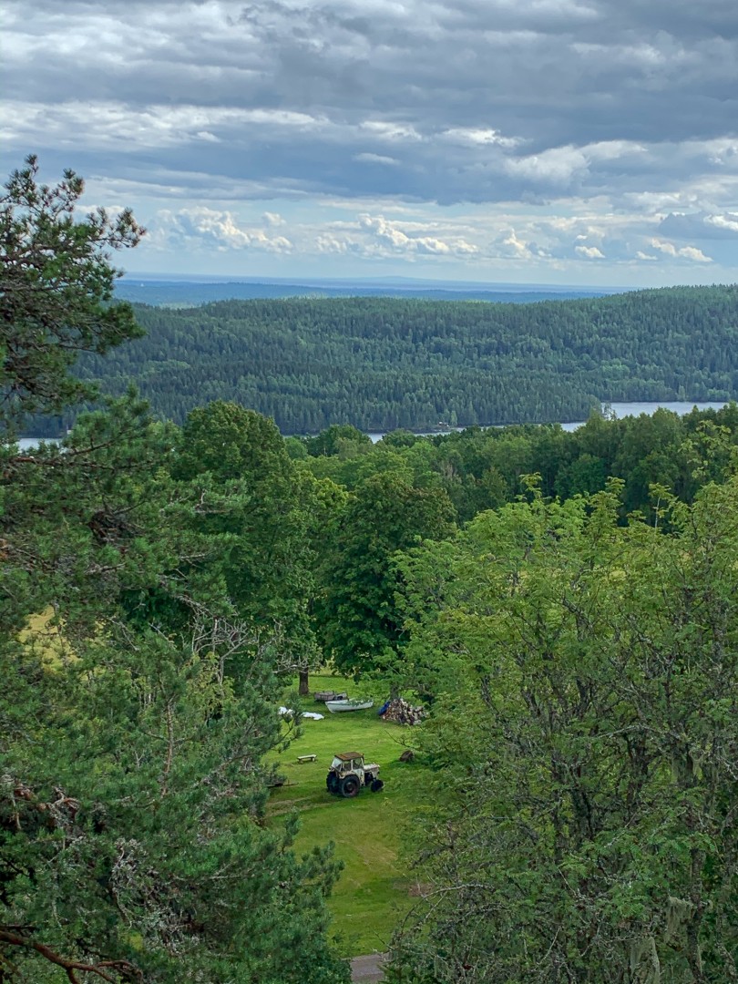 Linheden med utsikt bortanför Vänern