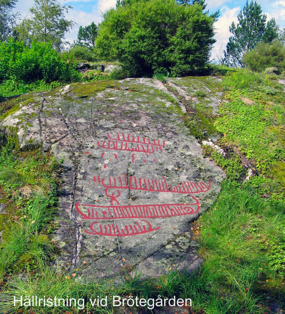 Lånad bild av Lars-Olof Larsson (vänster), visar hällristningarna vackert ifyllda med röd färg. Egen bild (höger), visar att tidens tand åter vill dölja konstverket från bronsåldern.