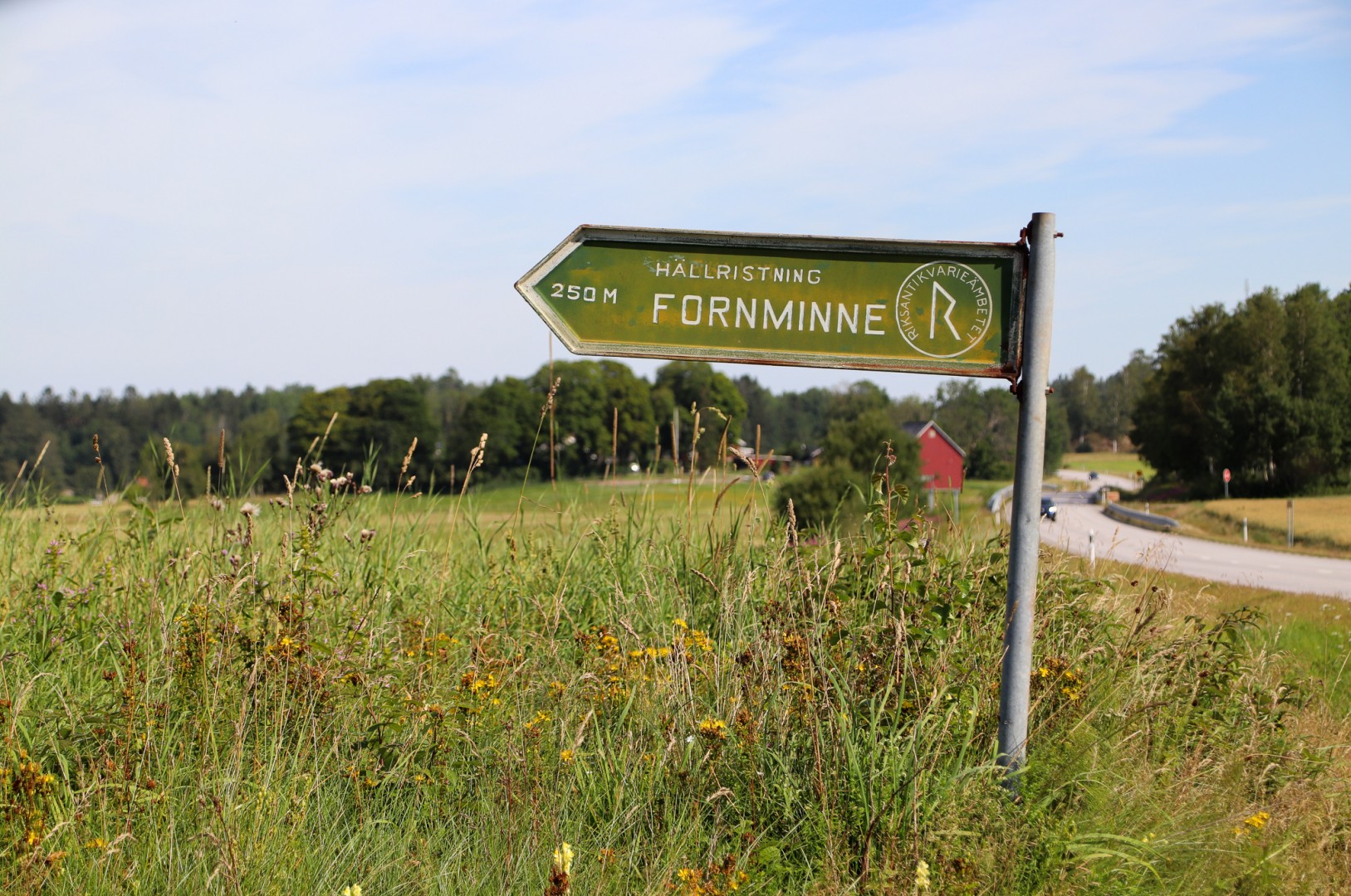 Hällristningarna på Larssons gård