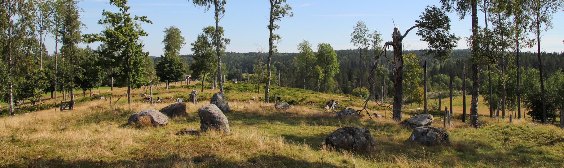 Domarringen i Håvesten. Domarringar har alltid ett ojämnt antal stenar.