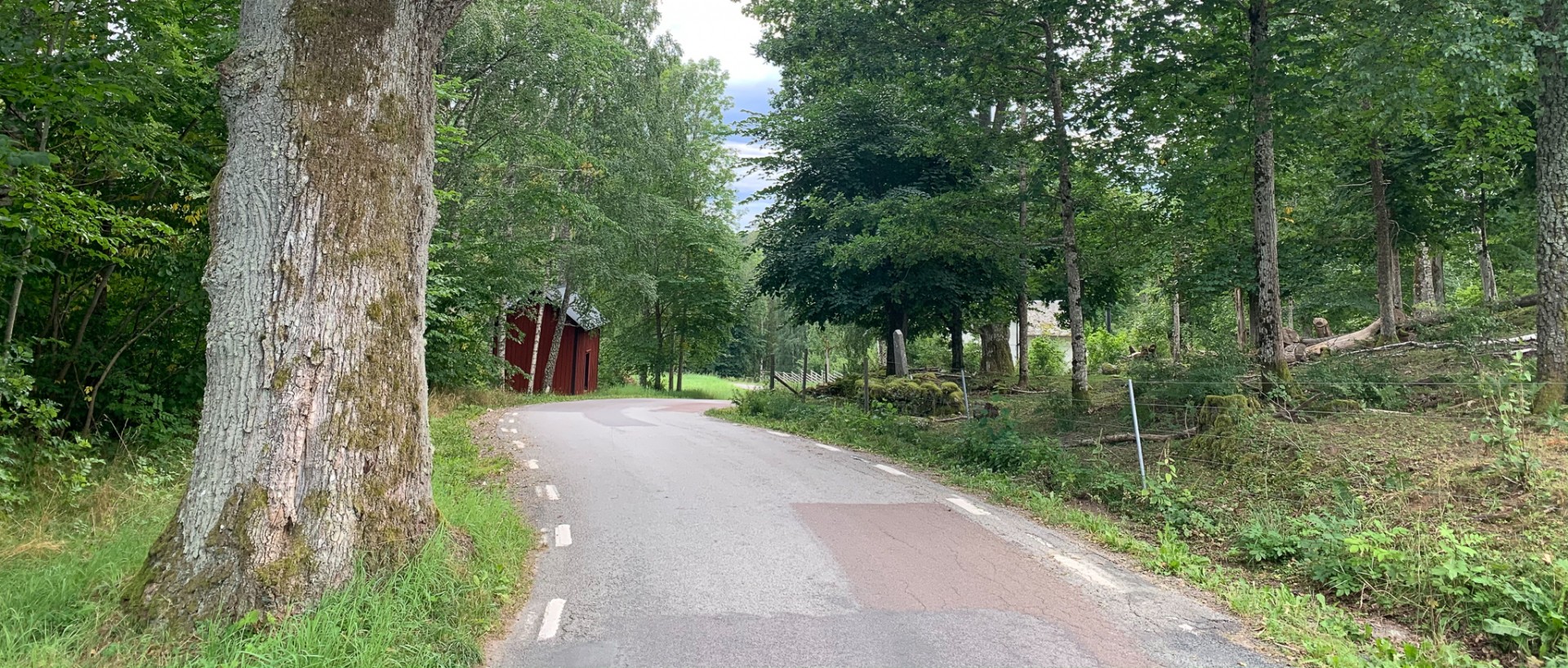 Utefter Brudfjällsvägen