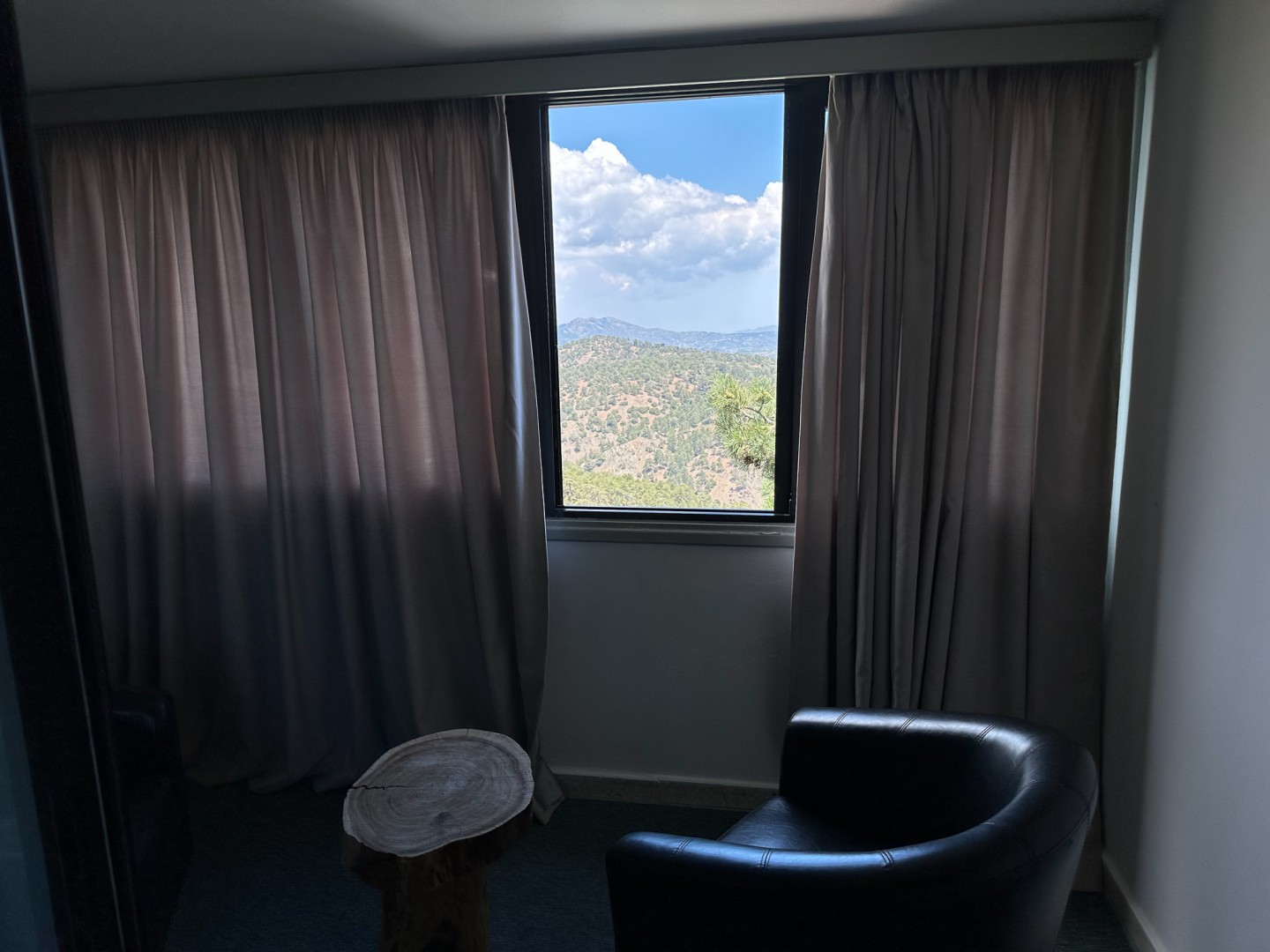 Fönstret i mitt rum stod öppet på natten