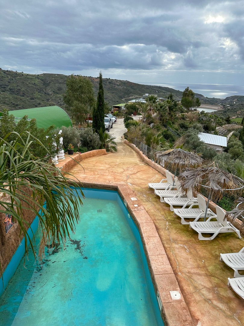 Utsikt, pool och solstolar i trädgården i väntan på sommarsäsong