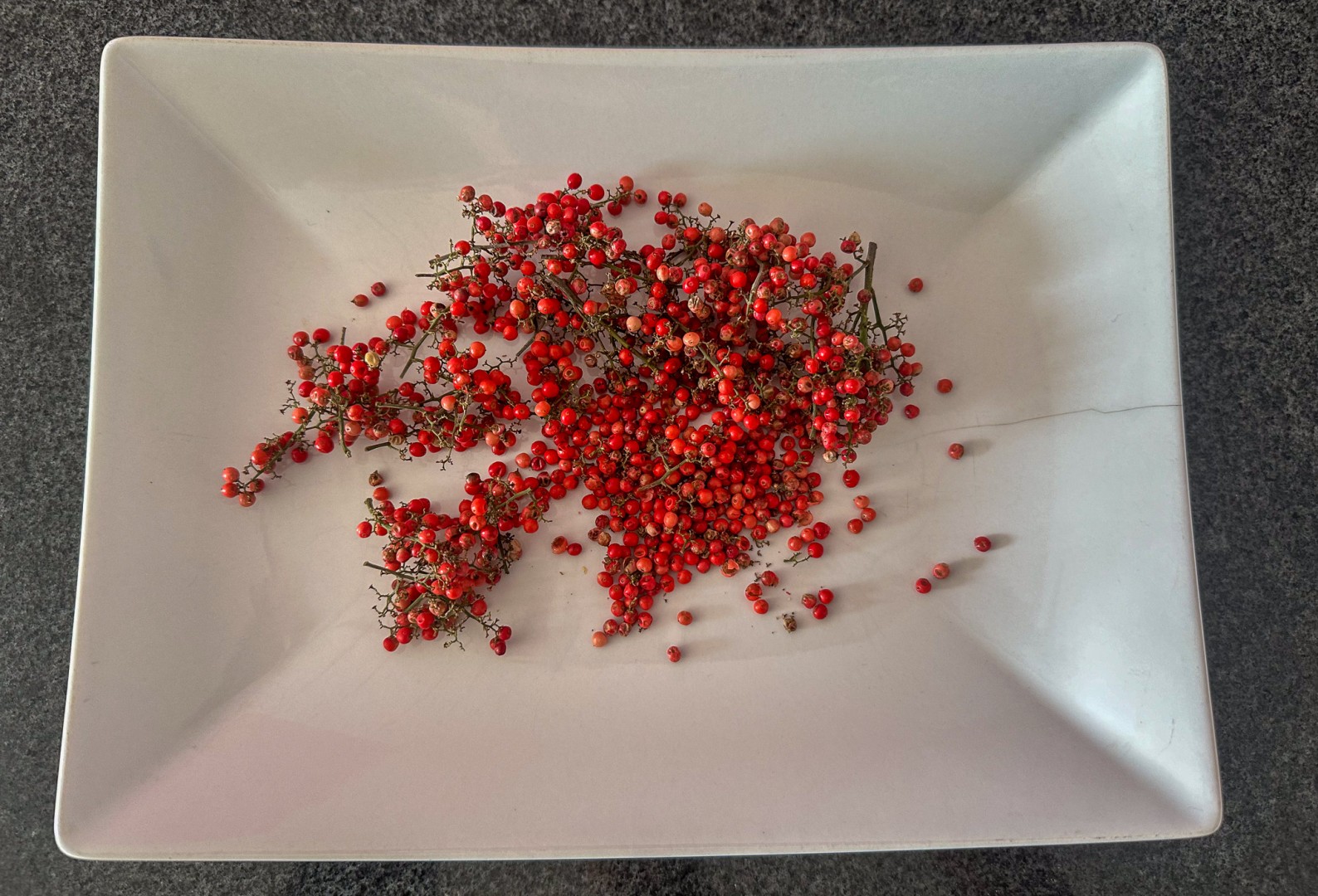 Nyskördad rosépeppar